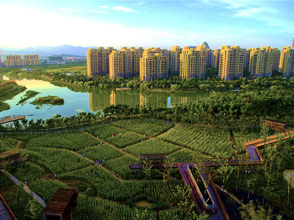 1638843065431331.jpg e73v.jpg